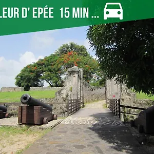 Le Nid Dor - De Standing Le Gosier (Grande-Terre)