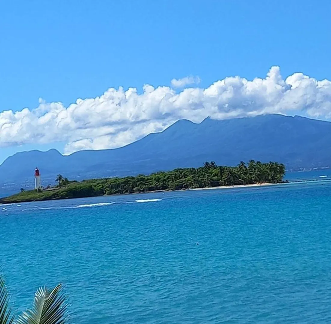 Studio Aqua A Gosier Apartment Le Gosier  Guadeloupe